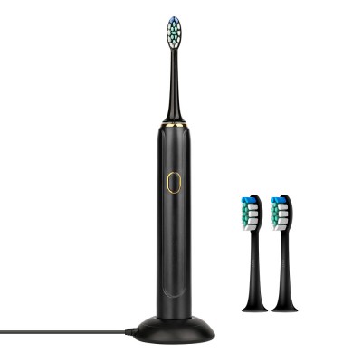 Electronic Tooth Brush Built-in Smart Timer Rechargeable Electric Toothbrush Custom Logo Acceptable Factory in Guangdong Teeth